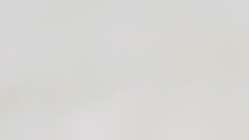 Los productos de zanahorias fueron enviados a varios estados del país.