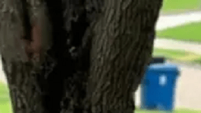 La maestra llegó a amenazar al niño con suicidarse.