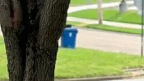 La maestra llegó a amenazar al niño con suicidarse.