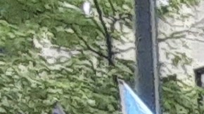 Unidad NYPD de prevención de violencia doméstica.