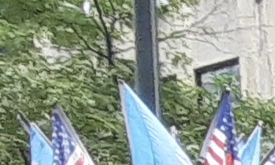 Unidad NYPD de prevención de violencia doméstica.