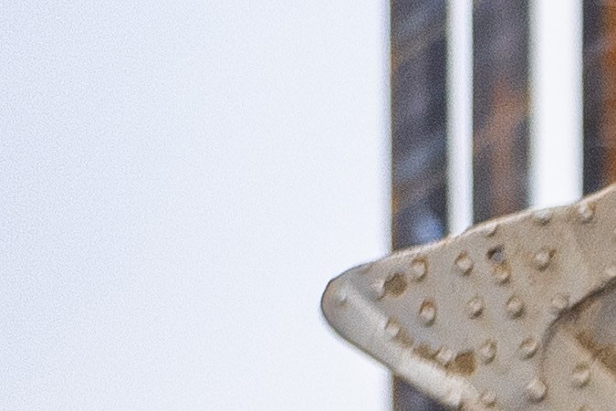 Autoridades del NYCFC y de Nueva York conversan sobre la inauguración del Etihad Park de Nueva York. FOTO: Cortesía / NYCFC.