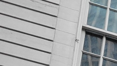 Activistas, funcionarios y líderes comunitarios alzaron ayer su voz de protesta en el Día Del Migrante para presionar al alcalde Eric Adams contra las medidas antiinmigrantes de la administración Trump. /Juan Alberto Vázquez