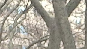 Cleo Juárez es una vendedora de chalupas que hoy trata de reconstruir su vida con otros trabajos