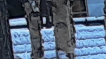 Post nevada en Nueva York el 21 de diciembre de 2024.