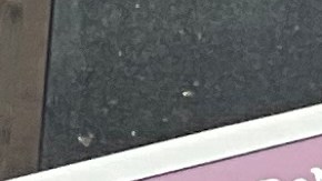 Urgen luz verde a Albany para conceder libertad condicional a reclusos con años en prisión que prueben estar rehabilitados