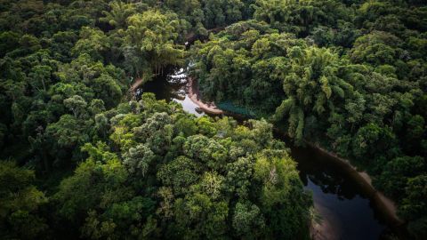 Amazonas