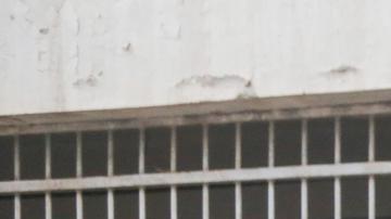 Algunos de los presos liberados, no pueden recordar ni su propio nombre.