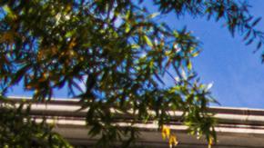 "El servicio BeyondTrust comprometido ha sido desconectado", dijo el Departamento del Tesoro.