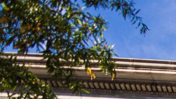 "El servicio BeyondTrust comprometido ha sido desconectado", dijo el Departamento del Tesoro.