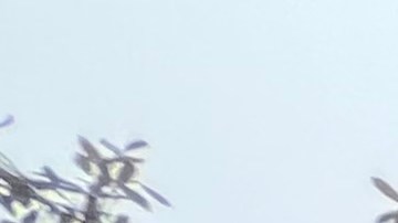 Este 2025 será un año electoral en la Gran Manzana y los resultados impactarán a comunidades en los cinco condados