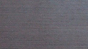 Rusia le dio asilo a Al Assad, tras su derrocamiento en Siria.