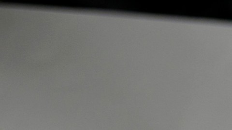 La Embajada de Siria en Rusia confirmó que Bashar Al Asad está en Moscú.