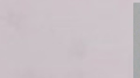 Christopher McDonnell, de 32 años, estará en la cárcel hasta el 2120.