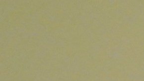 Katie Porter, de 50 años, pidió la orden porque tenía por su vida, tras recibir los mensajes.