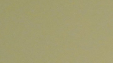 Katie Porter, de 50 años, pidió la orden porque tenía por su vida, tras recibir los mensajes.