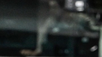 Edmundo González agradeció el honor de recibir el premio Sájarov, y en nombre de Machado estuvo su hija María Corina Sosa.