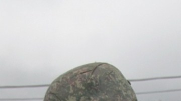 Los militares está acusados por el cargo de traer y albergar extranjeros.