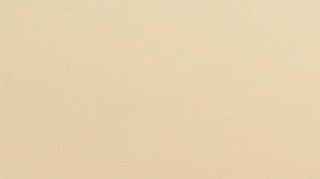 Su repatriación se realizó tras una notificación del Secretario de Defensa.