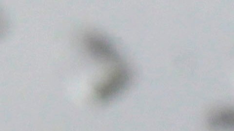 Un experto indicó que los viajes en la mañana y en la tarde del martes podrían verse ralentizados por lluvias torrenciales e inundaciones localizadas.