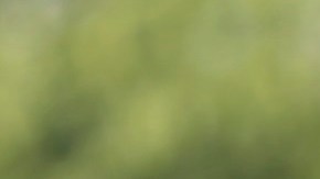 El senador Schumer reconoce que la detección de drones requiere tecnología especial.