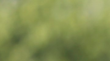 El senador Schumer reconoce que la detección de drones requiere tecnología especial.