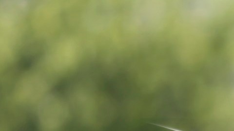 El senador Schumer reconoce que la detección de drones requiere tecnología especial.