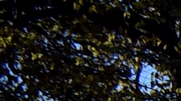 El incidente ocurrió en la madrugada del 25 de diciembre.