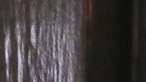 El acusado fue devuelto a la prisión del condado de Ulster, donde estaba detenido bajo una fianza de $30,000 dólares.