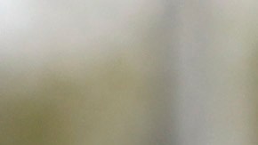 Las autoridades están tratando el caso como un posible homicidio.