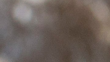 El retorno de Trump a la Casa Blanca hace prever que el Gobierno estadounidense no continuará la defensa de la medida en las cortes.