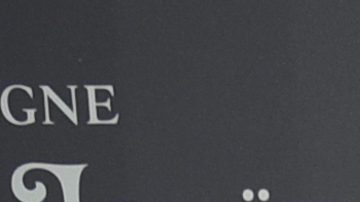 ¿Conflicto amoroso en Yankees? Cody Bellinger casado con una ex de Giancarlo Stanton