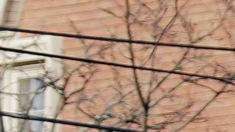 Las fotos de la escena muestran a los funcionarios sacando el cuerpo del hombre en una bolsa negra sobre una camilla del complejo de 12 apartamentos.
