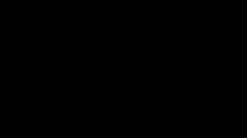 Bellinger seguirá los pasos de su padre en los Yankees.