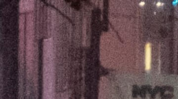 Las causas que rodearon a la colisión se encuentran todavía bajo las pesquisas del Equipo de Investigación de Accidentes del Departamento de Policía del Condado de Westchester.