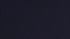 “Estoy contentísimo de llevar toda la alegría navideña al público de Nueva York”, señaló el cantante dominicano.