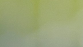 La MLS y la Liga MX aplicarán algunos cambios en esta edición de la Leagues Cup.