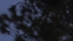 Secuestran al futbolista ecuatoriano Pedro Pablo Perlaza