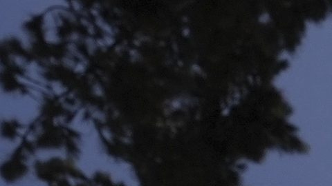 Secuestran al futbolista ecuatoriano Pedro Pablo Perlaza