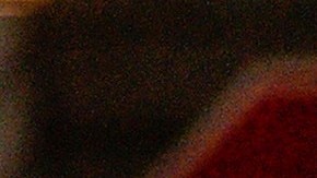 NYPD alegó que las heridas se debieron a la propia negligencia de Tillman y no a la conducta de los policías.