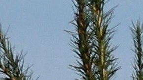 Las acciones de guerra entre Rusia y Ucrania han ido en aumento.