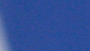 Durante la subasta de varios articulos, el mechón del exfutbolista se quedó sin comprador.