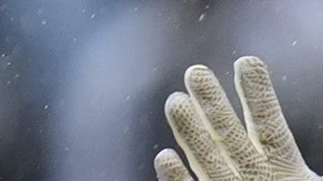 Juan Soto durante un encuentro ante Detroit Tigers.