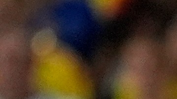 Lionel Scaloni durante un encuentro de la Copa América 2024.