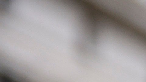 El jurado le otorgó a Carroll una indemnización millonaria en ese juicio.