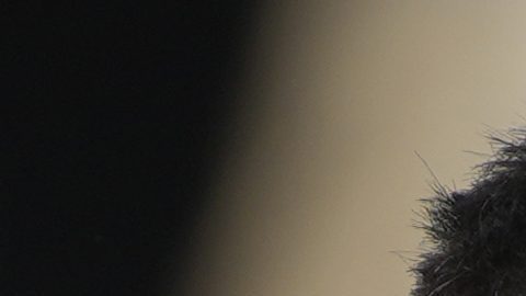 Messi agrupa todas sus inversiones inmobiliarias en una compañía en Barcelona