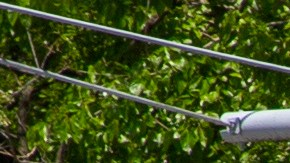 podría ser liberado de Rikers Island cerca del 18 de diciembre tras recibir atención mínima de salud mental.