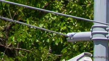 podría ser liberado de Rikers Island cerca del 18 de diciembre tras recibir atención mínima de salud mental.