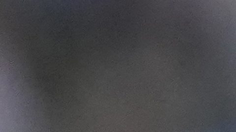 Willy Adames sería el "plan B" de los New York Yankees en caso de no firmar a Juan Soto