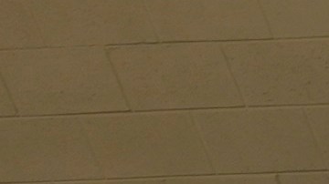 El enfoque de la oficina de la Hispanic Federation en Carolina del Norte y su red de unas 80 organizaciones miembros es la prestación de servicios a los latinos, también presta ayuda, entre otros, a la comunidad afroamericana, a otras minorías y a la comunidad LGBTQ.